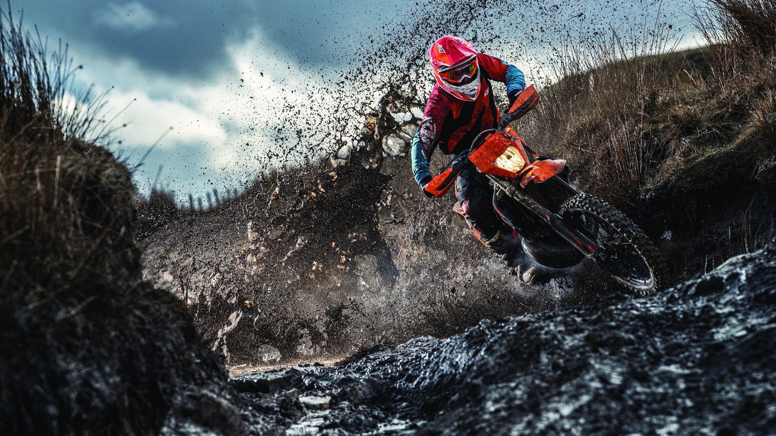 张志磊遭遇泰森大弟子，险被一拳KO，泰森坐镇台下为徒弟加油！，中国重量级拳王张志磊身高