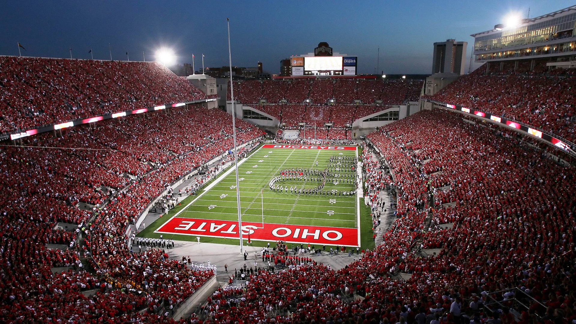 开云全站-球迷狂热，现场气氛火爆！，球迷疯狂庆祝照片